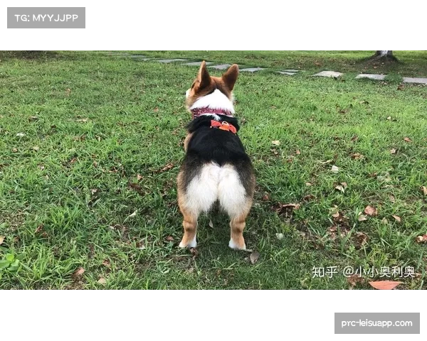 Netflix足球纪录片《哈兰德：破门机器》将于本月下旬全球上映。